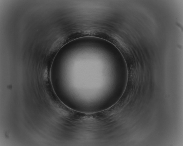 X0000092310502200709141356