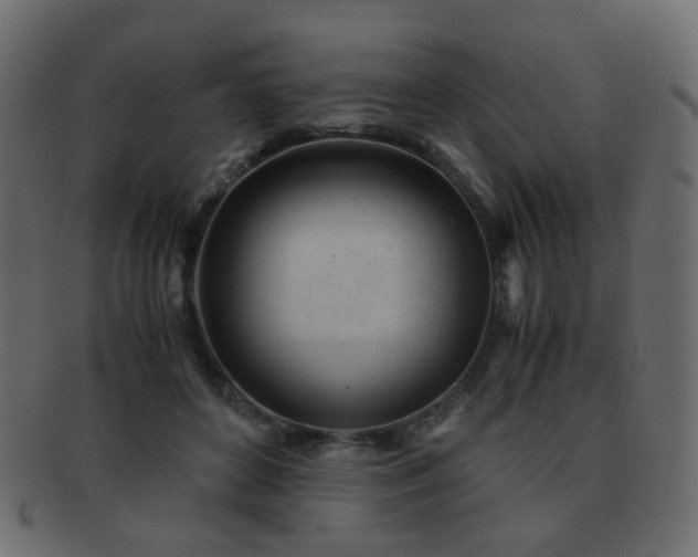 X0000092310504200709141356