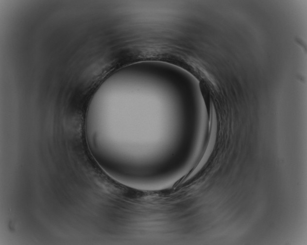 X0000092310505200709141356