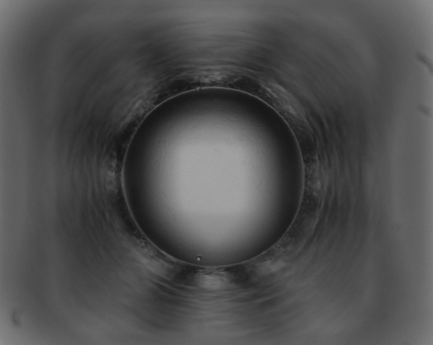 X0000092310510200709141356
