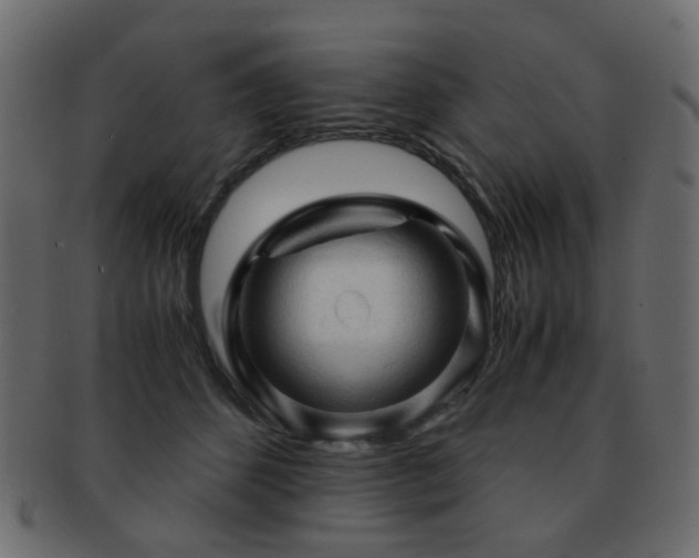 X0000092310512200709141356