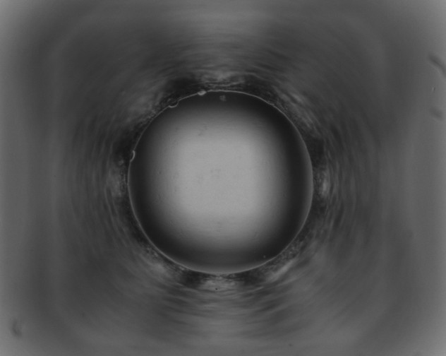 X0000092310515200709141356