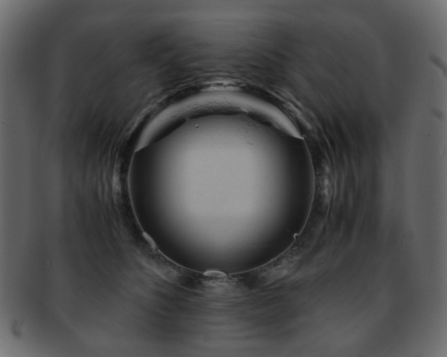 X0000092310516200709141356