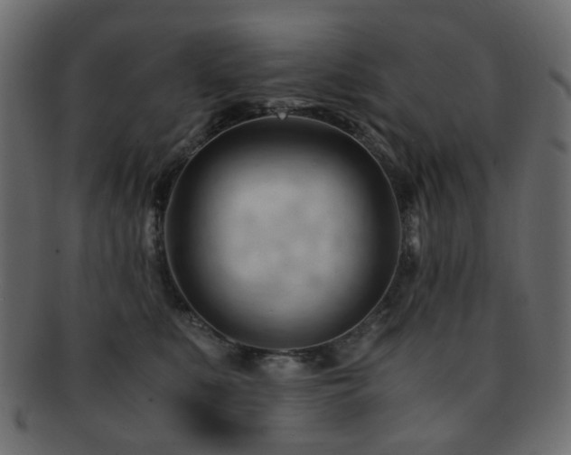 X0000092310519200709141356