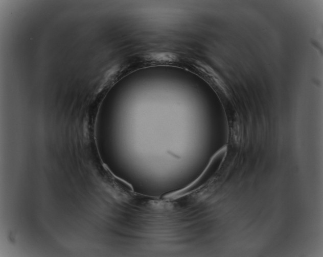 X0000092310520200709141356