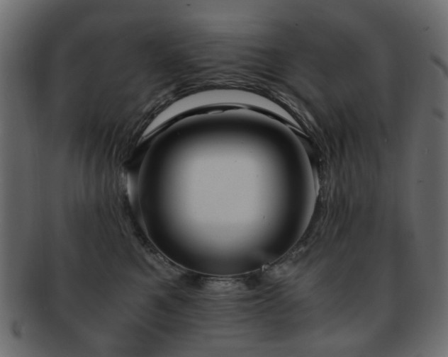 X0000092310521200709141356