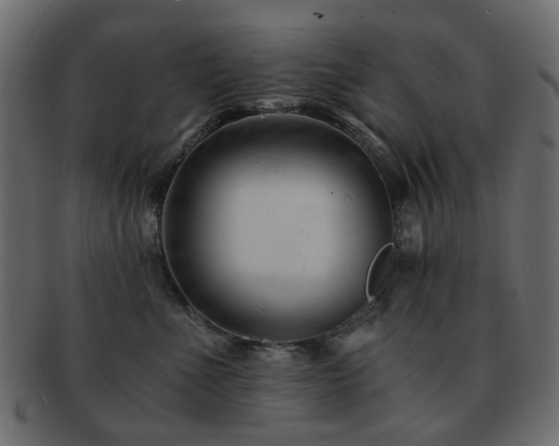 X0000092310523200709141356