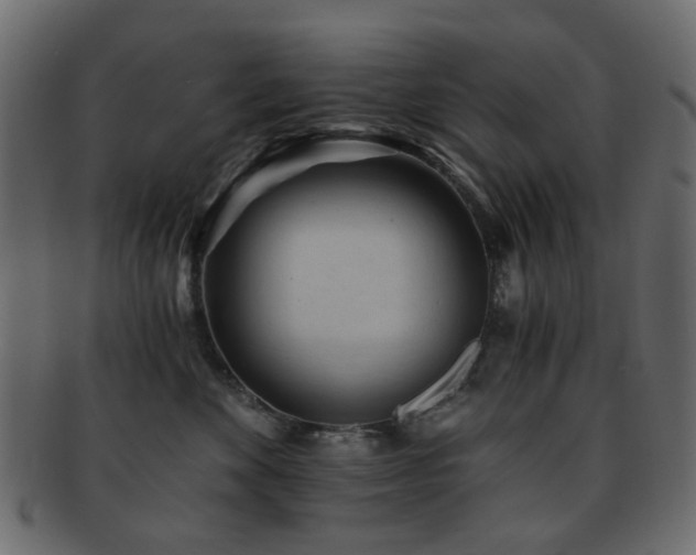 X0000092310524200709141356