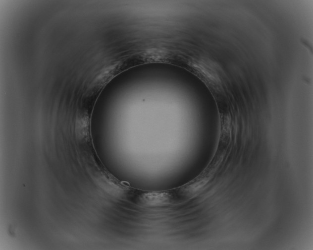 X0000092310526200709141356
