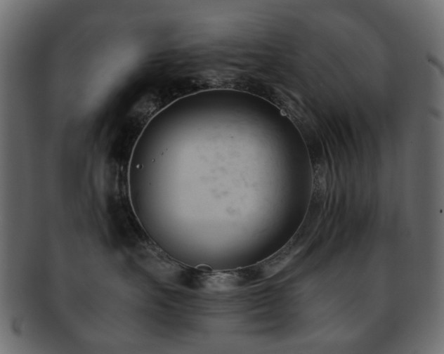 X0000092310527200709141356