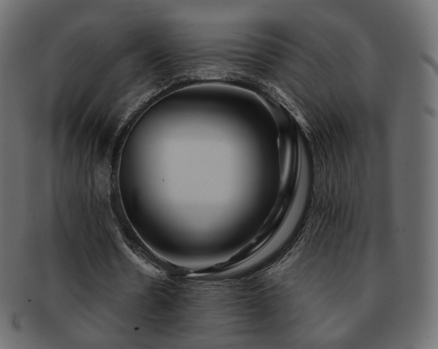 X0000092310530200709141355