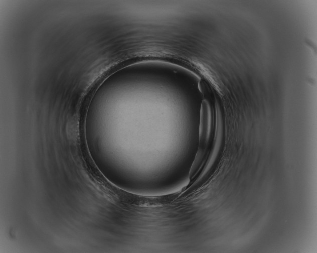X0000092310531200709141355