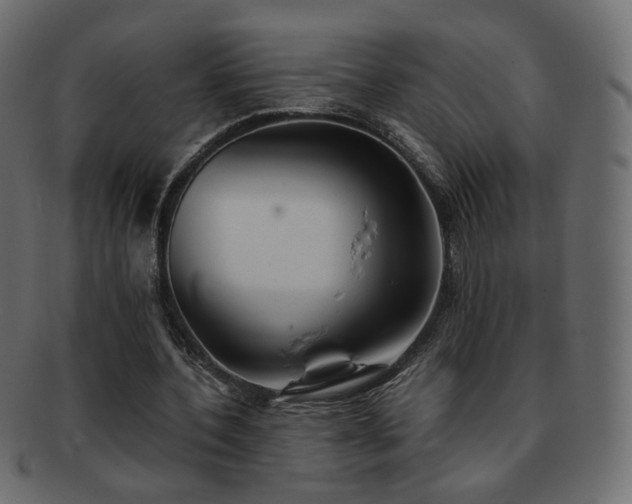 X0000092310532200709141355