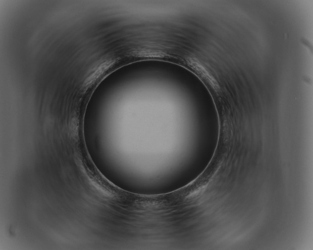 X0000092310533200709141355