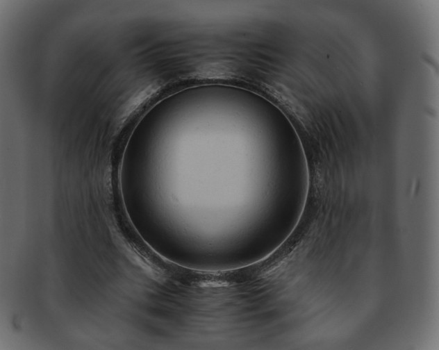 X0000092310535200709141355