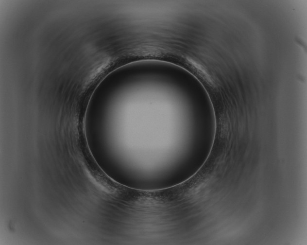 X0000092310538200709141355