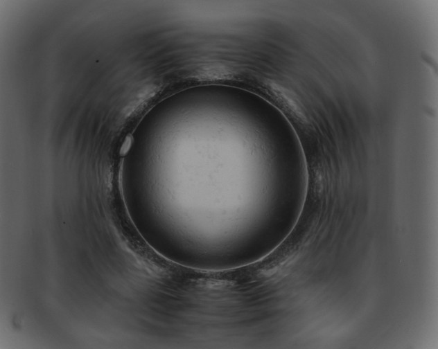 X0000092310539200709141355
