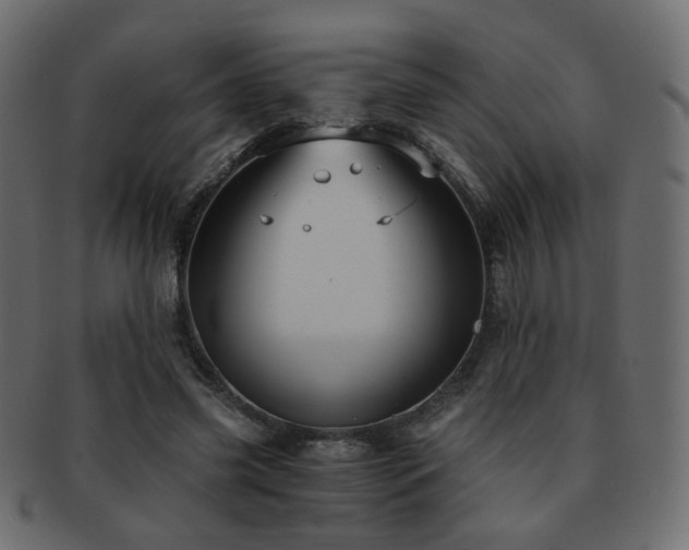 X0000092310541200709141355