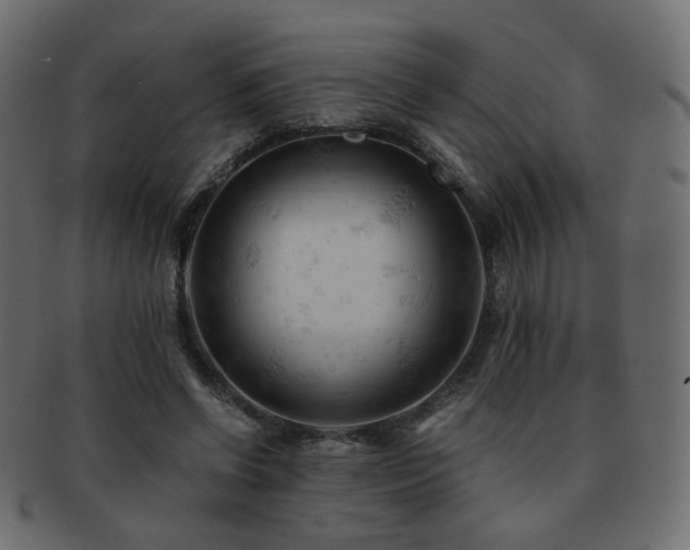 X0000092310542200709141355