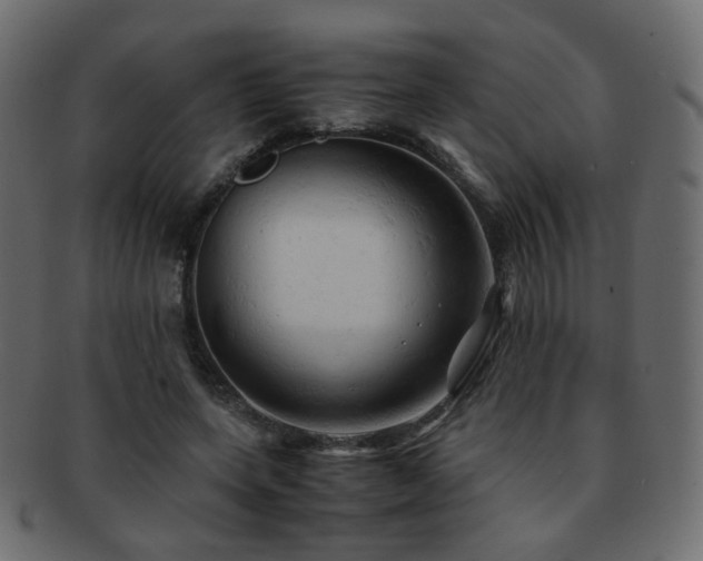 X0000092310543200709141355