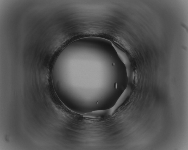 X0000092310544200709141355