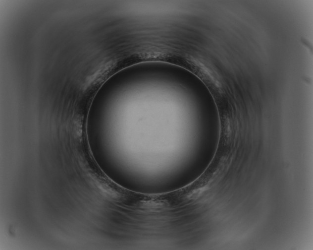 X0000092310545200709141355