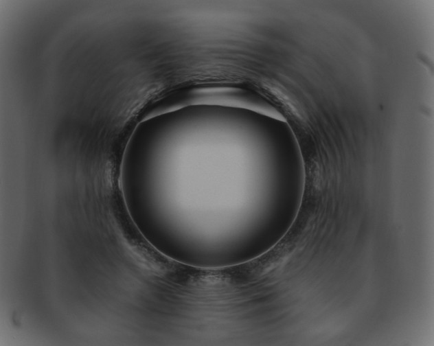 X0000092310546200709141355