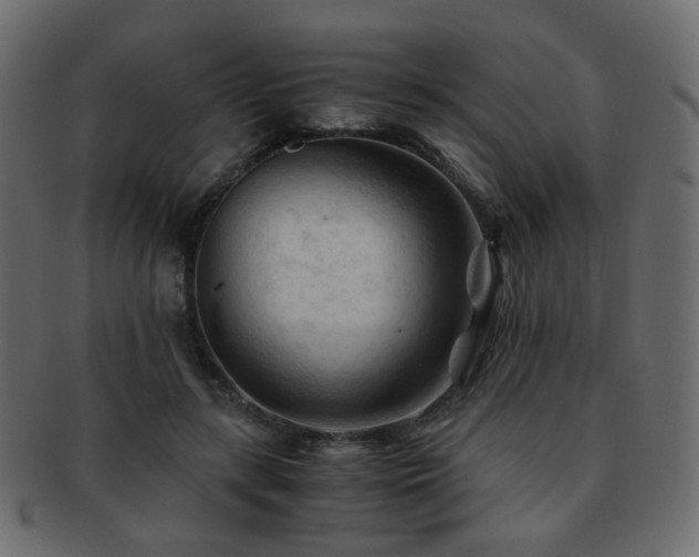 X0000092310547200709141355