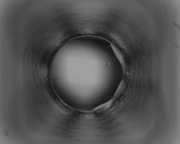 X0000092310548200709141355