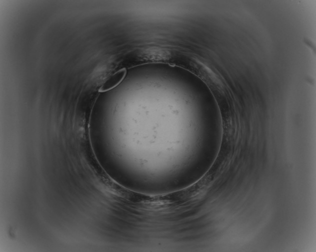 X0000092310553200709141355
