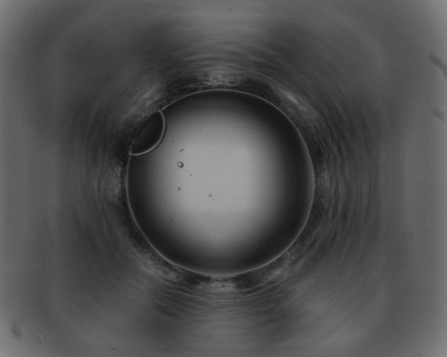 X0000092310554200709141355