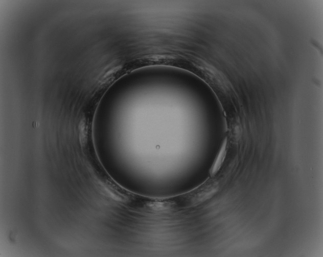 X0000092310558200709141355