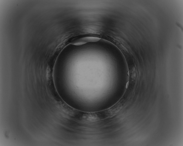X0000092310559200709141355