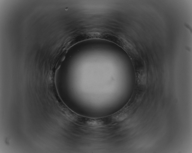 X0000092310561200709141355
