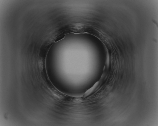 X0000092310562200709141355
