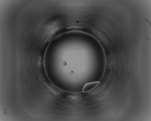 X0000092310563200709141355