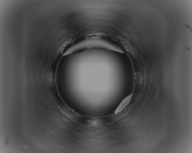 X0000092310564200709141355
