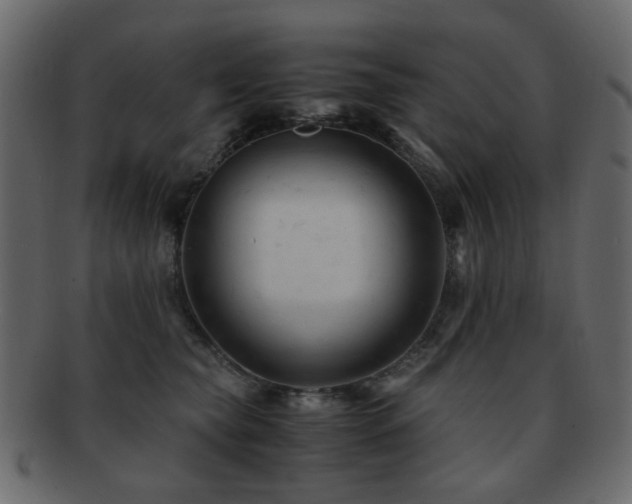X0000092310565200709141355