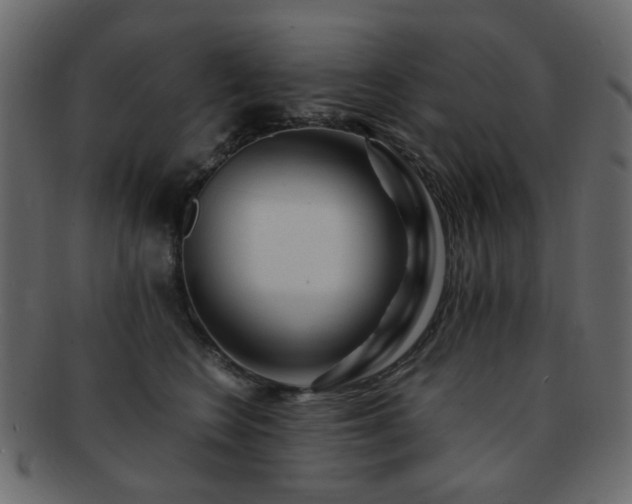 X0000092310566200709141355