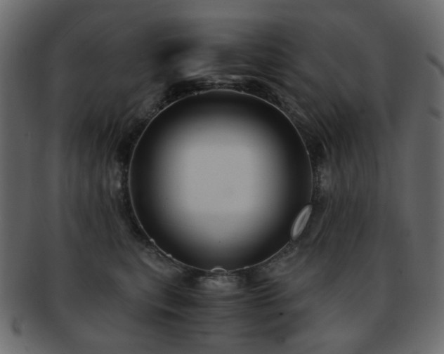 X0000092310567200709141355