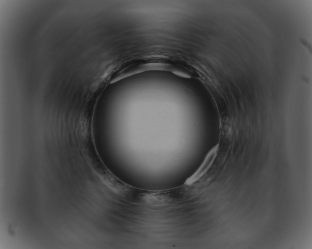 X0000092310568200709141355