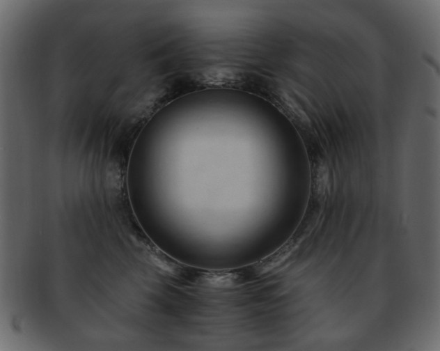 X0000092310569200709141355