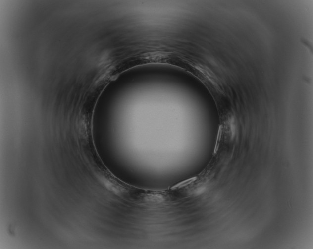 X0000092310572200709141355