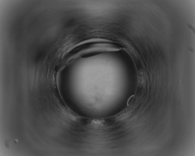 X0000092310573200709141356