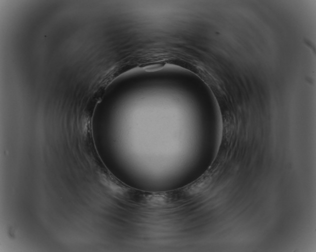 X0000092310574200709141356
