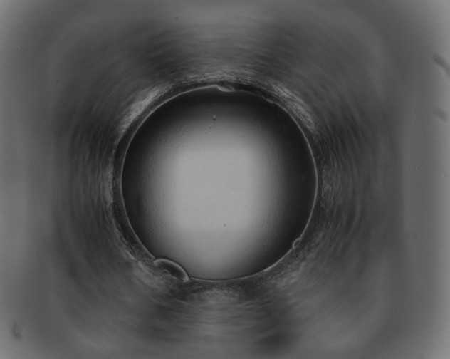 X0000092310578200709141355