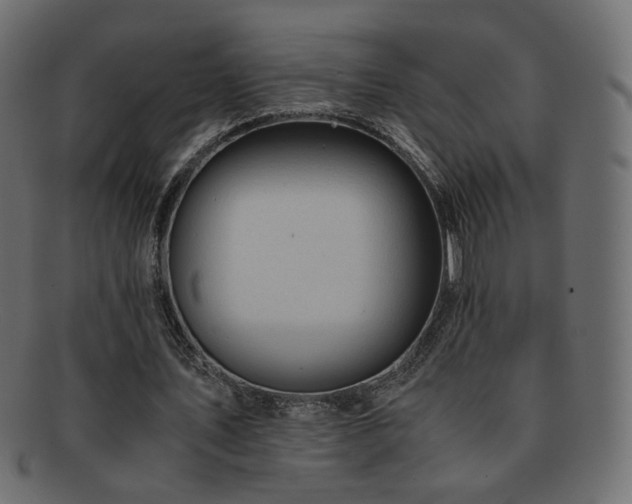 X0000092310579200709141355