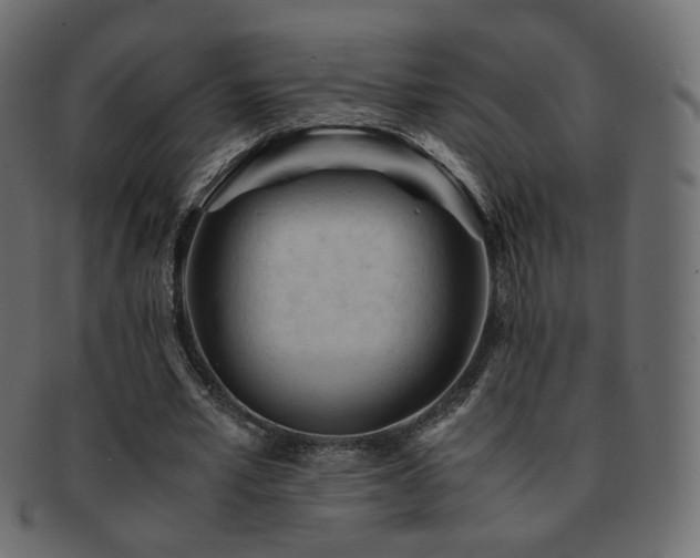 X0000092310581200709141355