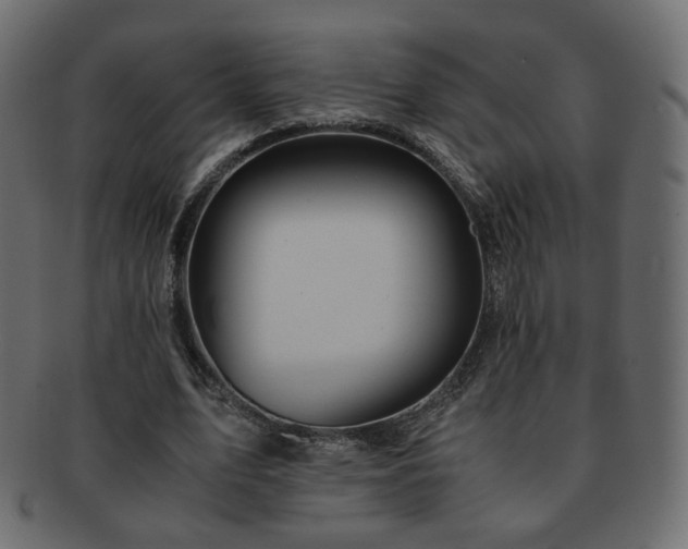 X0000092310583200709141355