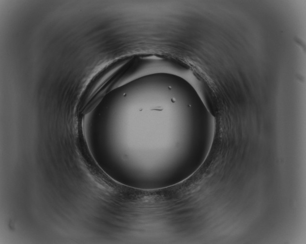 X0000092310584200709141355